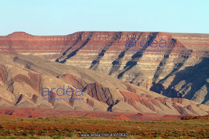 : Valley of the Gods : Valley of the Gods