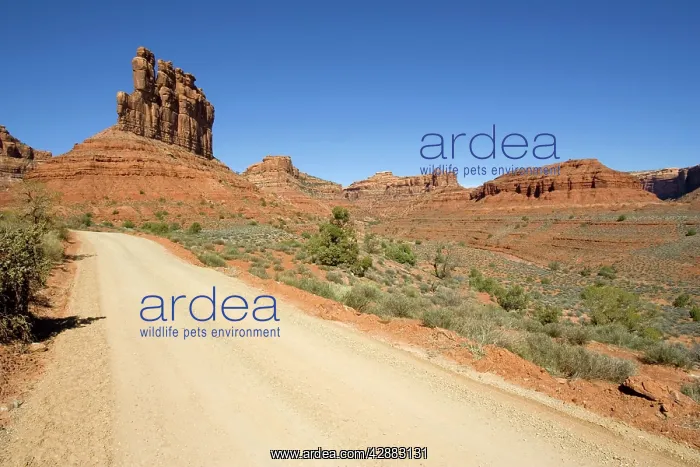 : Valley of the Gods, Utah, USA : Valley of the Gods, Utah, USA
