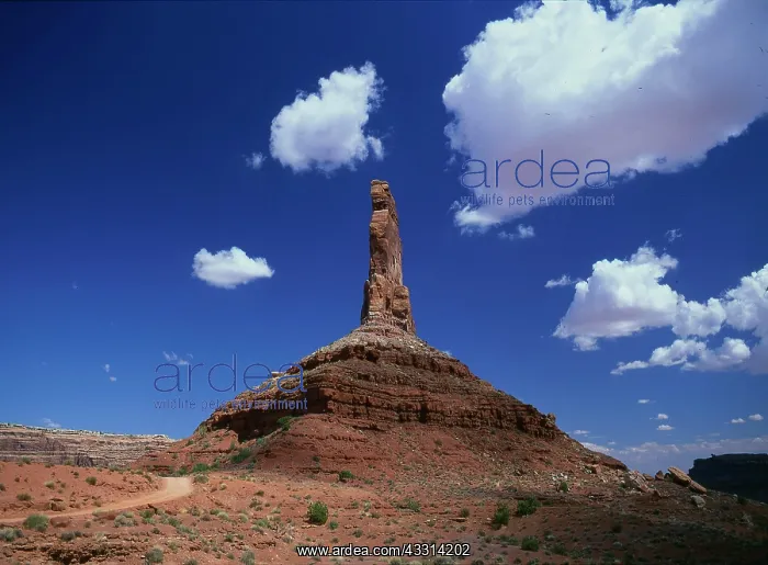 : Valley of the gods Valley of the gods, Utah, USA : Valley of the gods Valley of the gods, Utah, USA