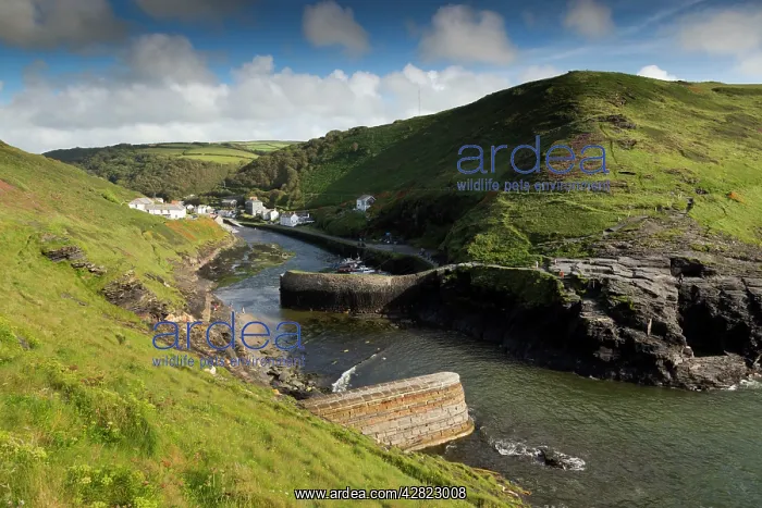 : Valley and Harbour - summer : Valley and Harbour - summer