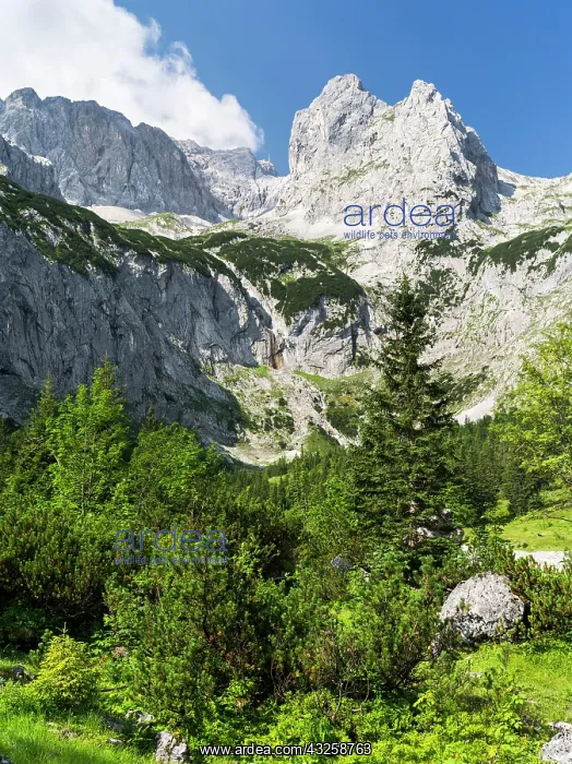 : Valley Hoellental in the Wetterstein Mountain : Valley Hoellental in the Wetterstein Mountain