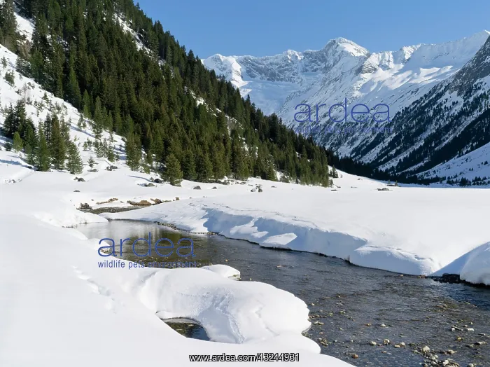 : Valley Krimmler Achental in the national