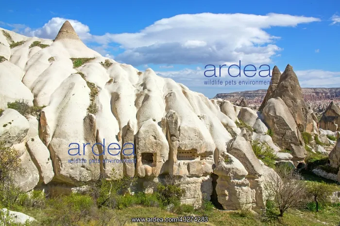 : Valley of the Lovers, fantastic tuff formations : Valley of the Lovers, fantastic tuff formations