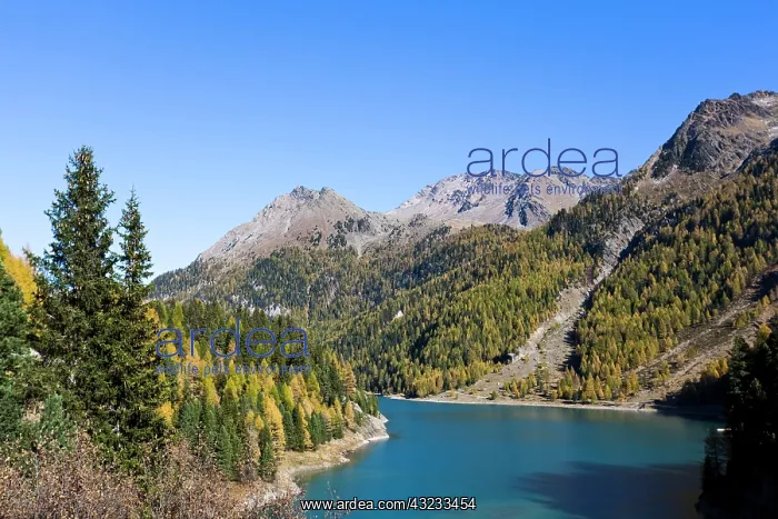 : The valley martelltal with lake Zufrittsee : The valley martelltal with lake Zufrittsee