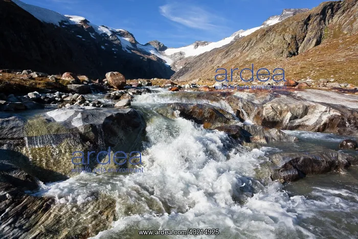 : The valley Maurer Tal in the national park : The valley Maurer Tal in the national park