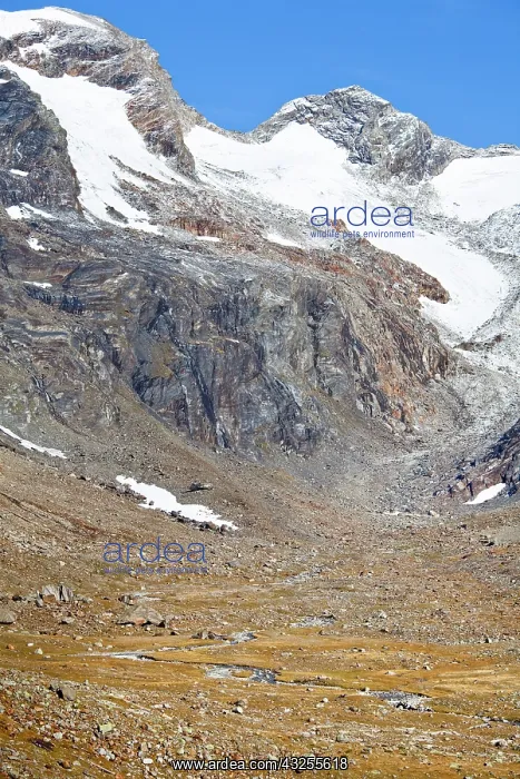 : The valley Maurer Tal in the national park : The valley Maurer Tal in the national park