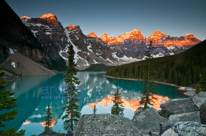 : Valley of the Ten Peaks reflected in Moraine La : Valley of the Ten Peaks reflected in Moraine La