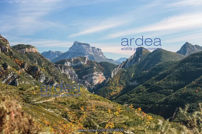 : Valley and Pena Montanesa in the background : Valley and Pena Montanesa in the background