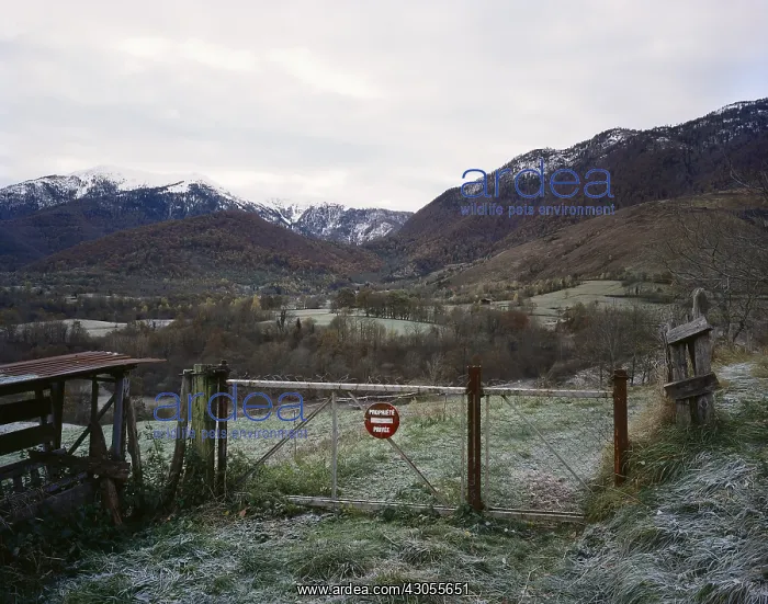 : Valley and pens to protect flocks Pyrenees : Valley and pens to protect flocks Pyrenees