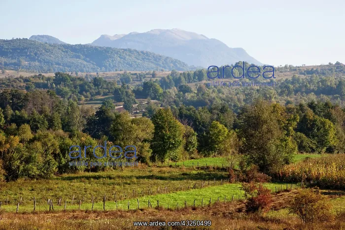  : The valley of river bistrita, Wallachia
