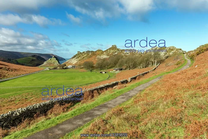 : Valley of The Rocks - Devon - UK : Valley of The Rocks - Devon - UK