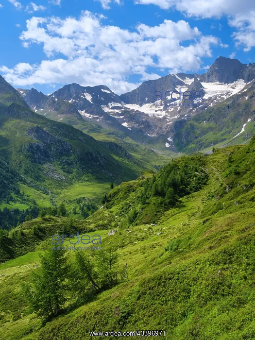 : Valley Seeber Tal and Mt. Hochfirst in the Nature : Valley Seeber Tal and Mt. Hochfirst in the Nature