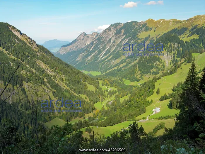 : Valley Stillachtal near Oberstdorf in the Allgau : Valley Stillachtal near Oberstdorf in the Allgau