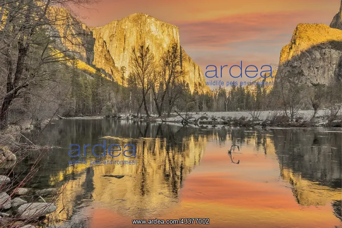 : Valley View, Yosemite, California : Valley View, Yosemite, California