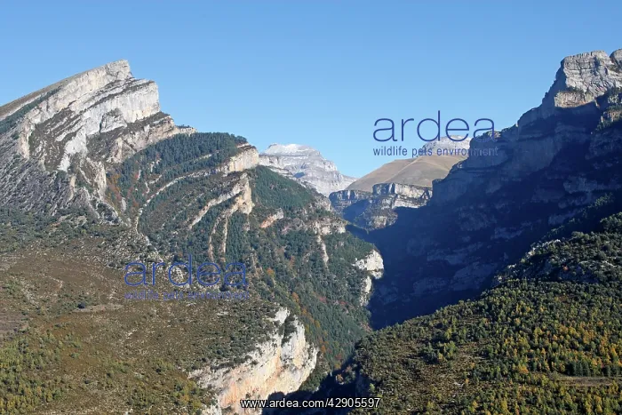 : Valley of Vio - showing geological folds in the rocks : Valley of Vio - showing geological folds in the rocks
