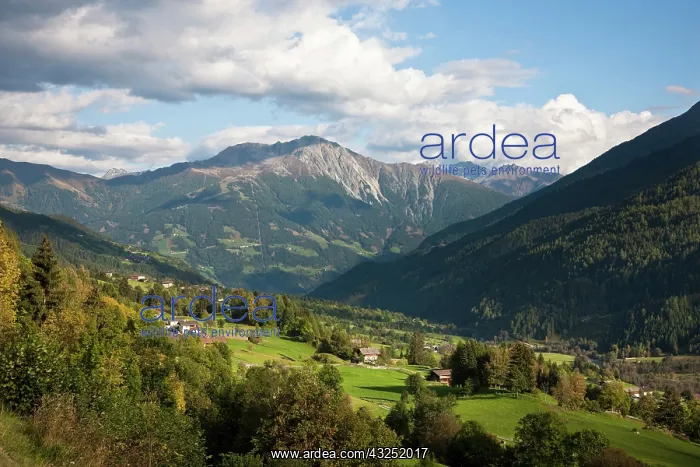 : The valley Virgental, Tyrol. East Tyrol : The valley Virgental, Tyrol. East Tyrol