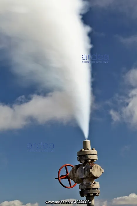 : Valve letting off steam, Iceland : Valve letting off steam, Iceland