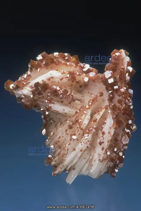 : Vanadinite on Barite : Vanadinite on Barite