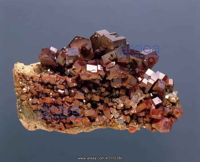 : Vanadinite Crystals : Vanadinite Crystals