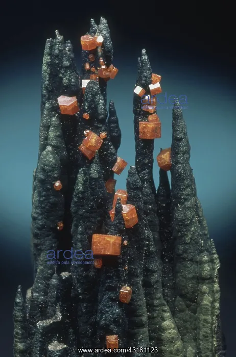 : Vanadinite on Goethite : Vanadinite on Goethite