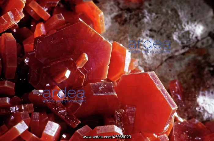 : Vanadinite from Mibladen, Morocco : Vanadinite from Mibladen, Morocco