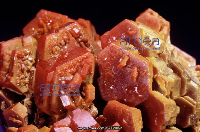 : Vanadinite from Mibladen, Morocco : Vanadinite from Mibladen, Morocco