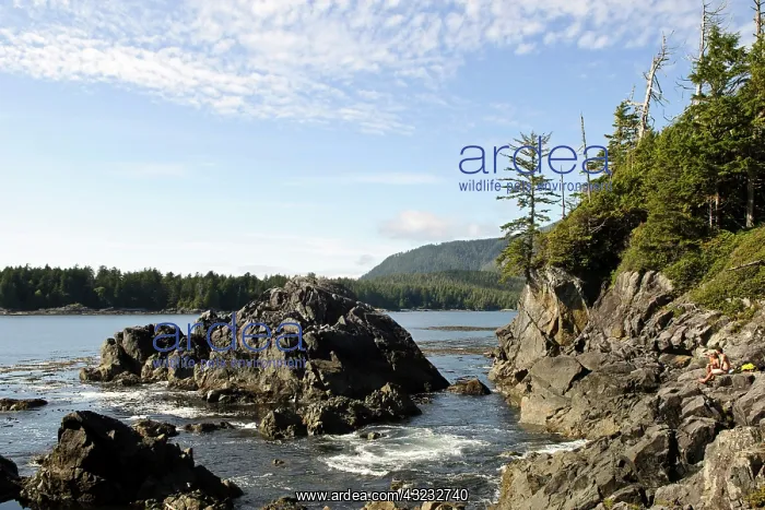 : Vancouver Island, Clayoquot Sound. Rocky : Vancouver Island, Clayoquot Sound. Rocky
