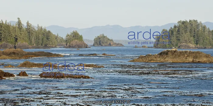 : Vancouver Island. Ocean and island view : Vancouver Island. Ocean and island view
