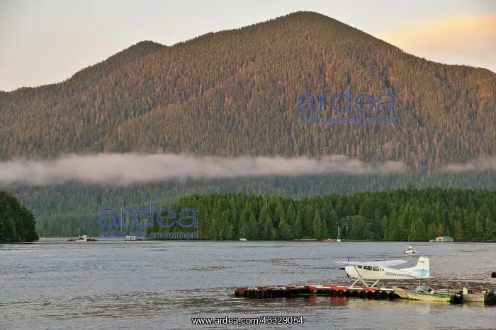 : Vancouver Island, Tofino. Meares Island : Vancouver Island, Tofino. Meares Island