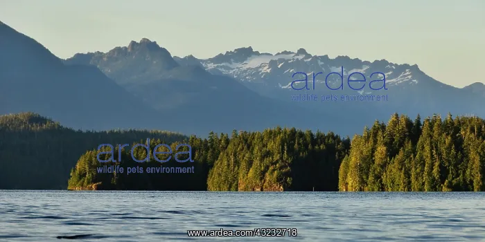 : Vancouver Island. Waters of Clayoquot Sound : Vancouver Island. Waters of Clayoquot Sound