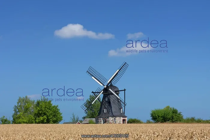  : Vanstad Mill Windmill