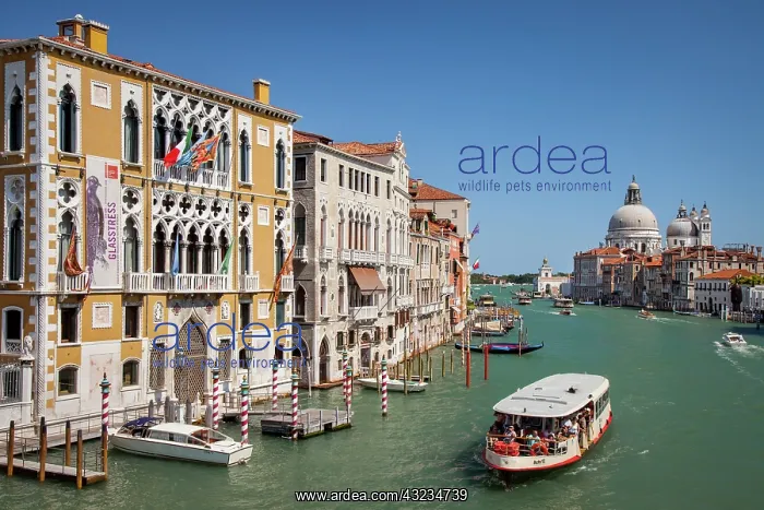 : Vaporetto water taxi along the Grand Canal : Vaporetto water taxi along the Grand Canal