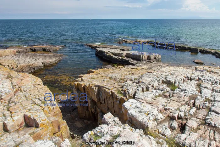 : Varhallarna Rock Formation Varhallarna, Sweden : Varhallarna Rock Formation Varhallarna, Sweden