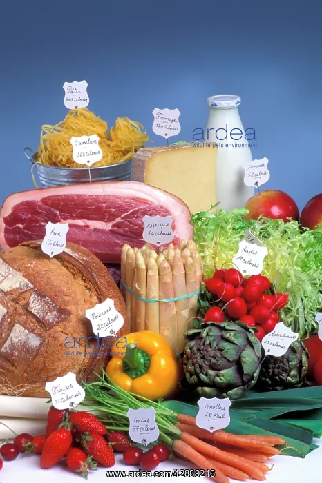  : Variety of foods and their calories