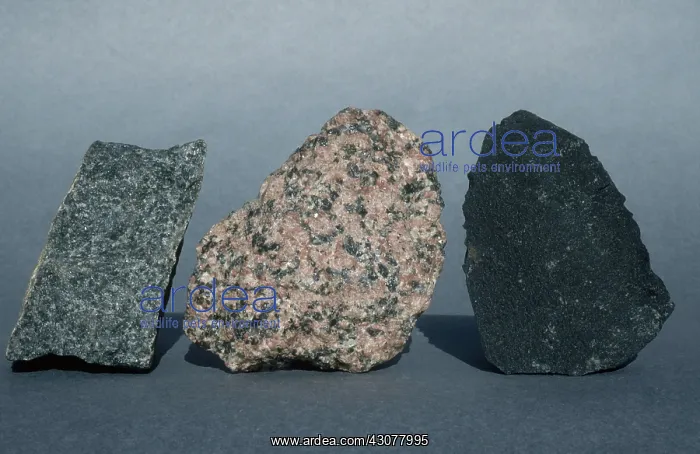: Variety of Igneous Rocks : Variety of Igneous Rocks