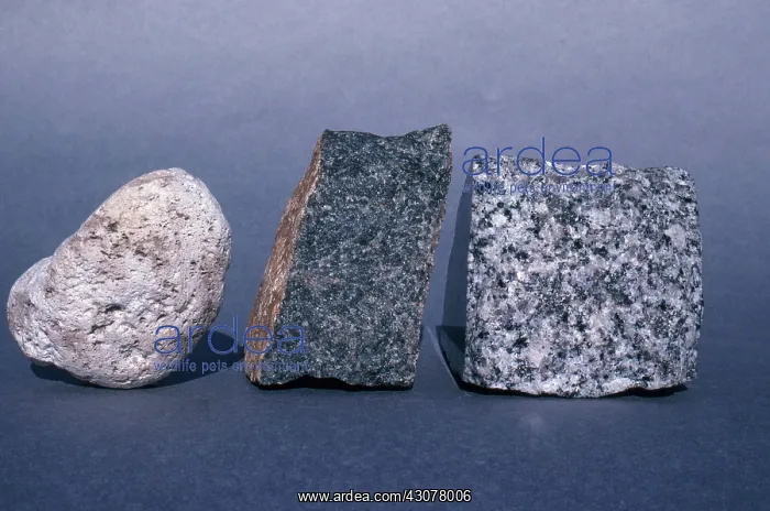 : Variety of Igneous Rocks : Variety of Igneous Rocks