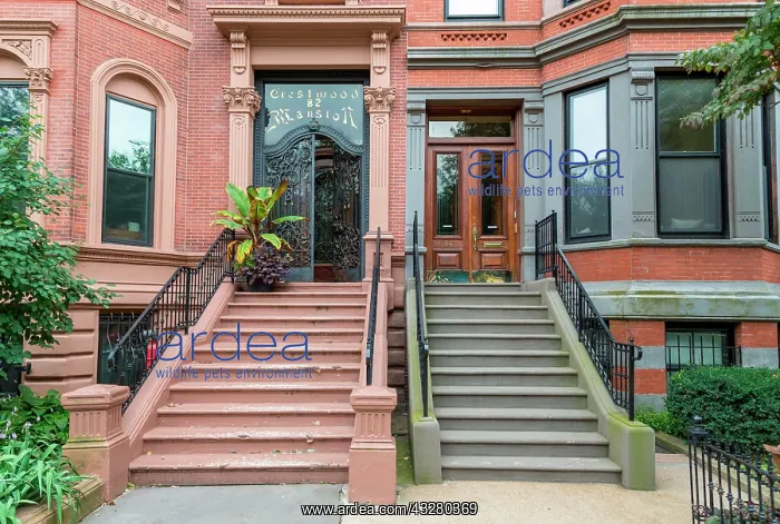 : Various entrance portals Commonwealth Avenue, Boston : Various entrance portals Commonwealth Avenue, Boston