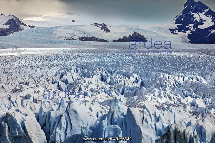 : A vast icy landscape stretches out in front of a cloudy sky and majestic mountain peaks : A vast icy landscape stretches out in front of a cloudy sky and majestic mountain peaks