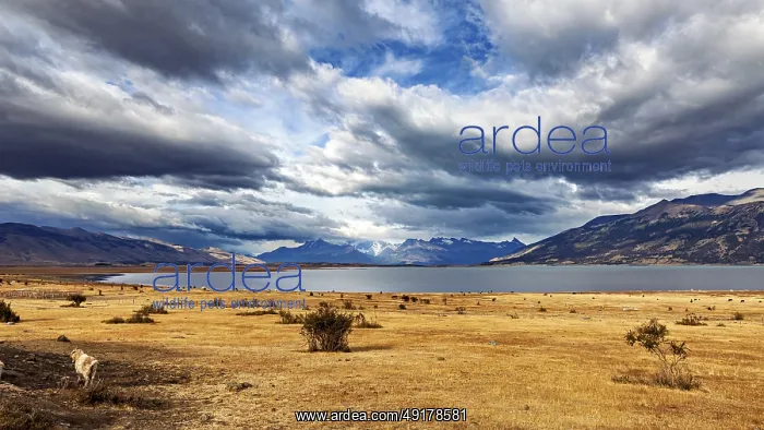 : A vast, peaceful landscape with a calm lake and mountains under dramatic clouds : A vast, peaceful landscape with a calm lake and mountains under dramatic clouds
