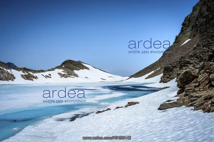 : Vast, snow-covered landscape with ice and a clear blue sky : Vast, snow-covered landscape with ice and a clear blue sky