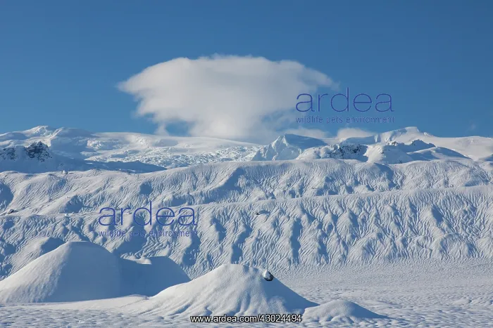 : Vatnajoekull Vatnajoekull view of largest glacier in Eu : Vatnajoekull Vatnajoekull view of largest glacier in Eu