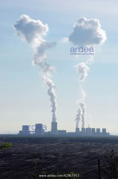 : Vattenfall Europe Opencast brown coal (lignite) : Vattenfall Europe Opencast brown coal (lignite)
