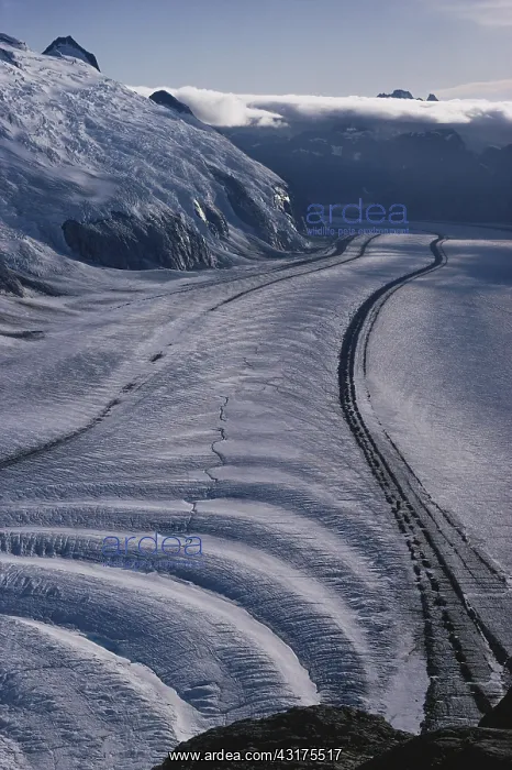  : Vaughan Lewis Glacier