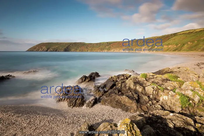 : Vault Beach - Dodman Point : Vault Beach - Dodman Point
