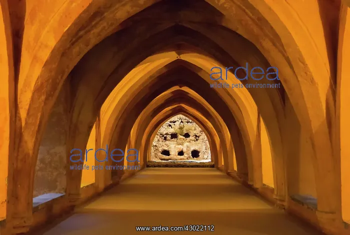 : The vaulted Maria de Padilla Bathrooms : The vaulted Maria de Padilla Bathrooms