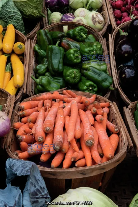 : Vegetable baskets with, carrots, peppers, cabbage : Vegetable baskets with, carrots, peppers, cabbage