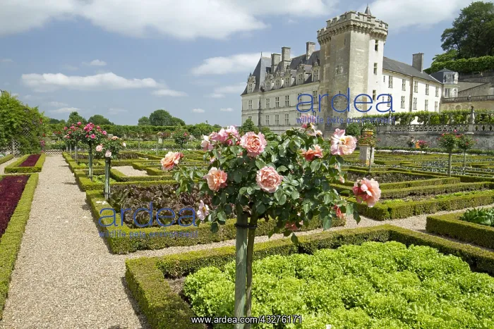 : The vegetable garden. Chateau de Villandry, France : The vegetable garden. Chateau de Villandry, France