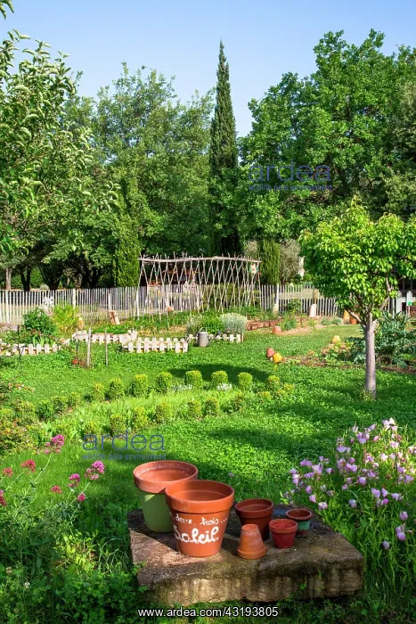 : Vegetable garden in spring, Provence, France : Vegetable garden in spring, Provence, France