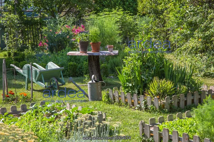 : Vegetable garden square, wheelbarrow, small table : Vegetable garden square, wheelbarrow, small table