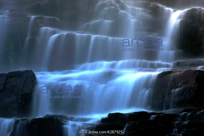 : Veil fall - water cascading down Tvindefossen waterfall : Veil fall - water cascading down Tvindefossen waterfall